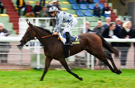 Actualités Hippiques